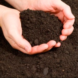 Здоровая почва без химии
